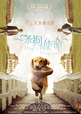 国产精品亚洲第一区