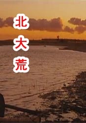 国产精品久久久久9999高清