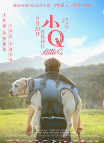 山东大学 贾磊