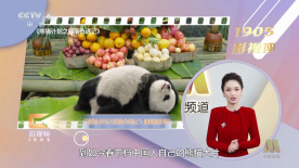 伊人精品在线观看